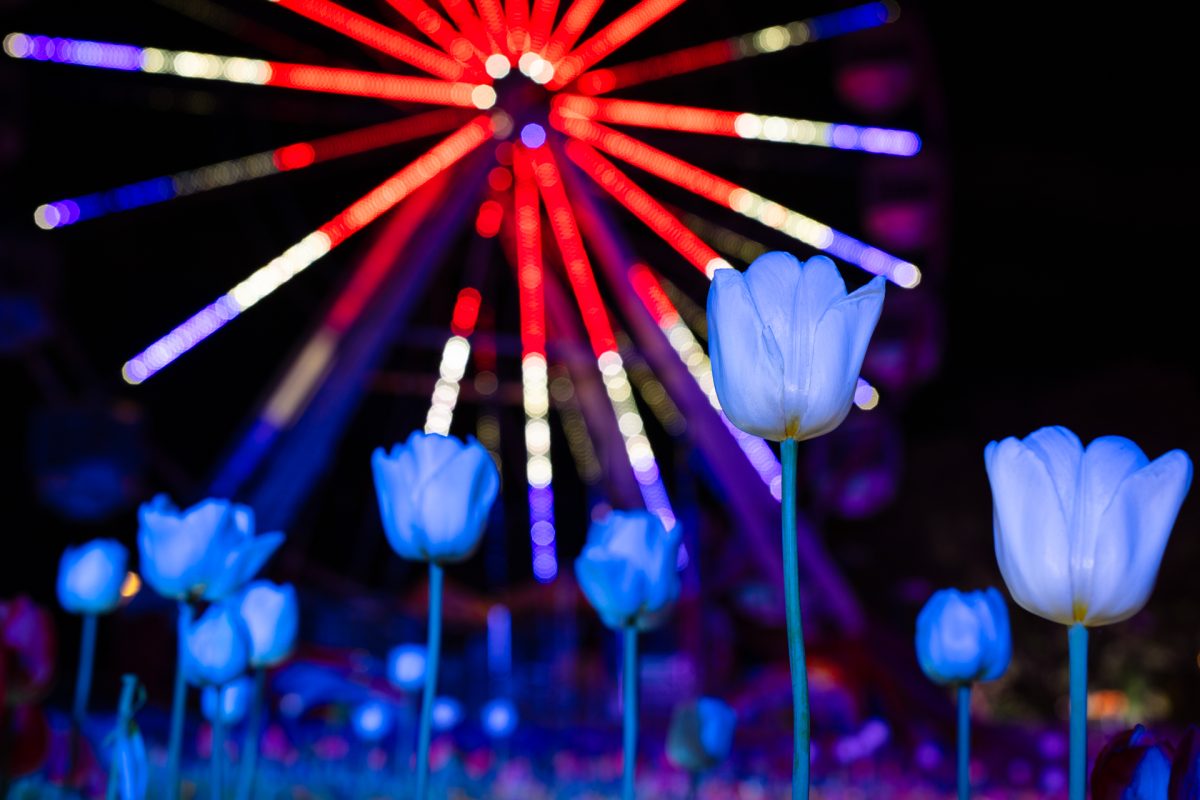 Lit up ferris wheel.