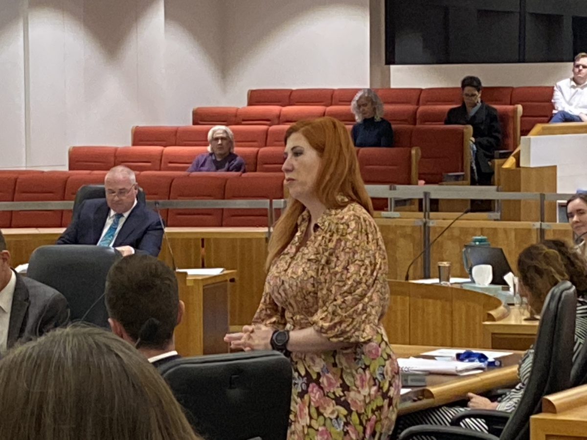 Tara Cheyne in parliament 