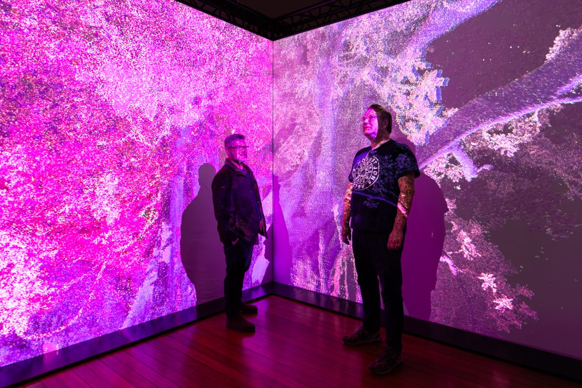 Two men standing in front of pink walls showing art installation.