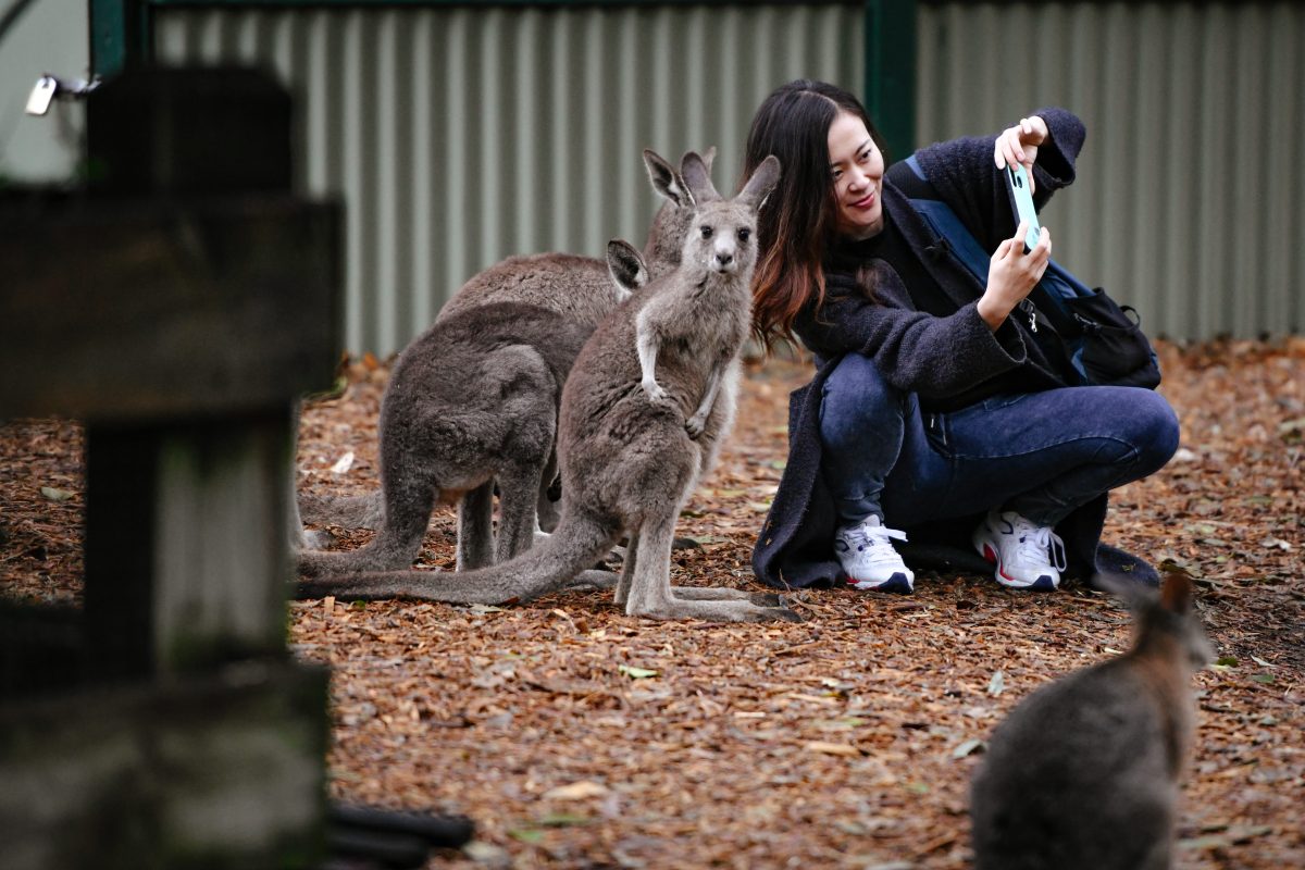 Featherdale Sydney Wildlife Park