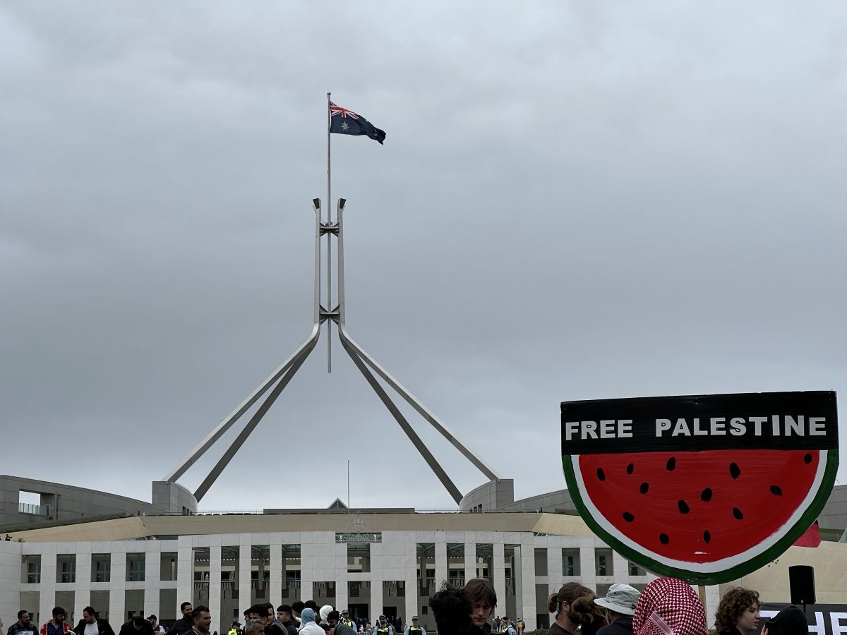 Protesters gathered outside Parliament House