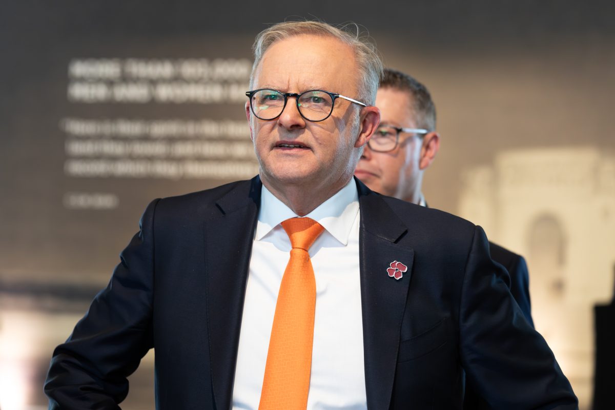 Hon Anthony Albanese MP