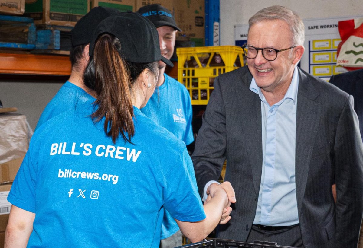 Anthony Albanese campaigning