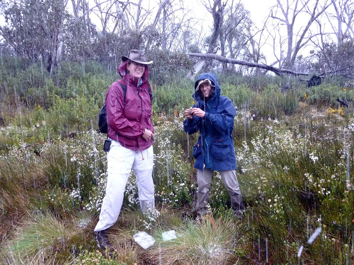 Mushroom researchers