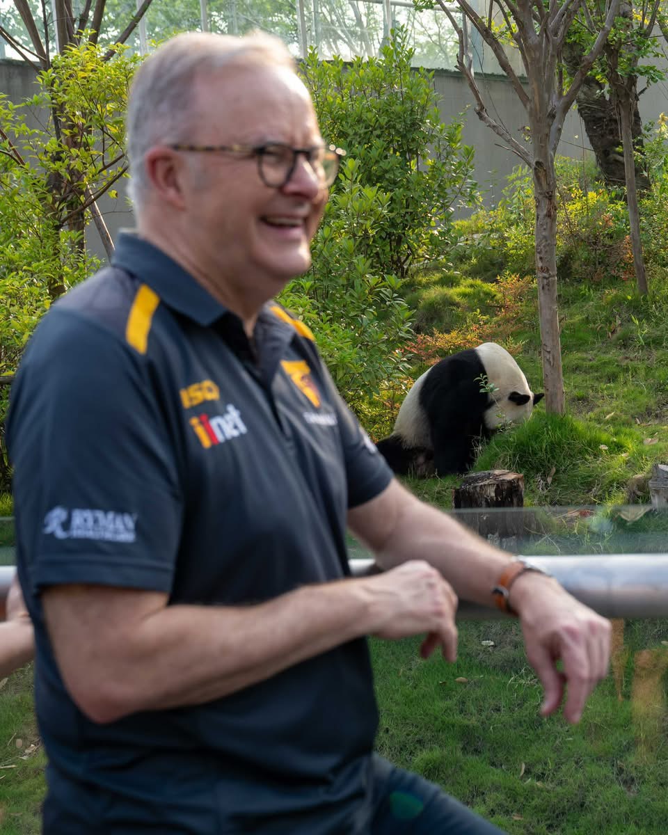 man and a panda