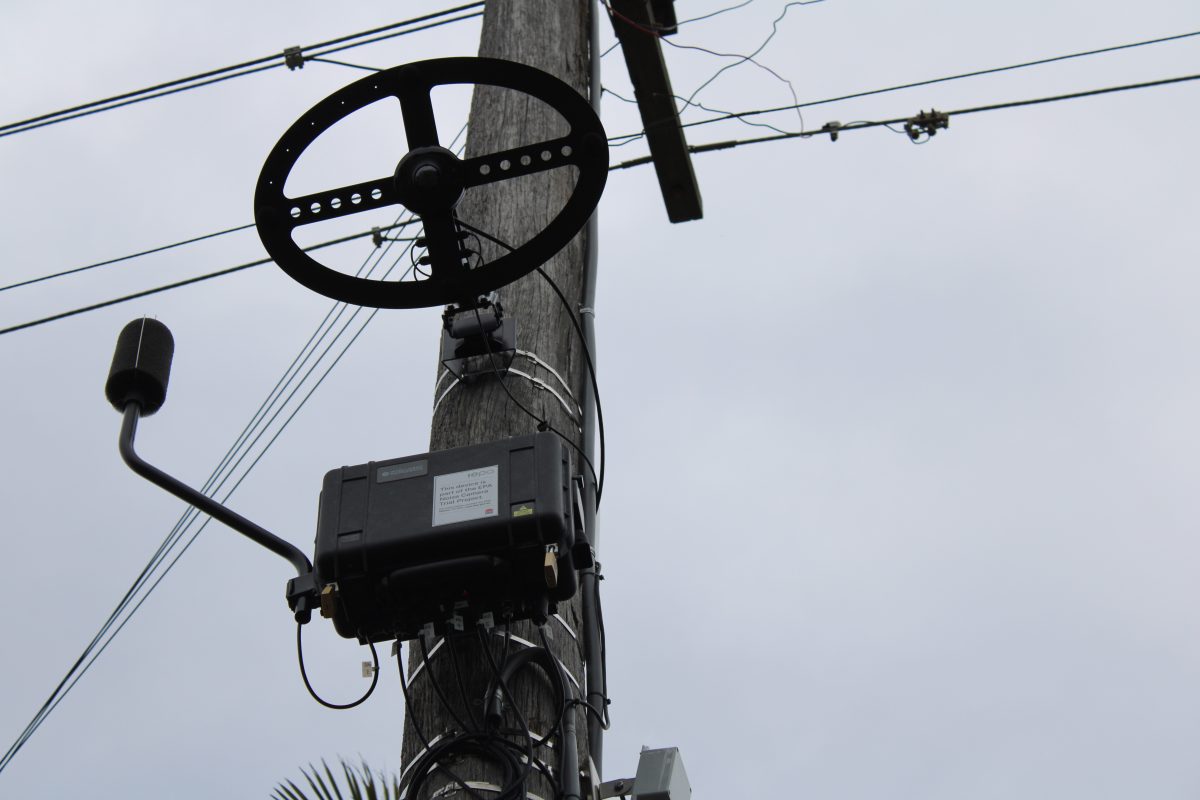 Noise camera in Wollongong CBD