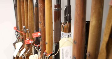 Gun reform causing more headaches for opposition parties