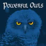 Powerful Owls