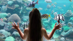 More than an aquarium, AQWA celebrates its marine achievements
