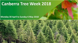 Tree Week 2018 taking root
