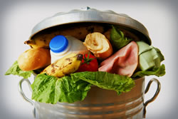 Food researchers to join waste watchers