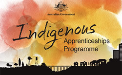 DHS to track down Indigenous apprentices