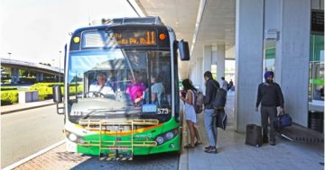 Transport survey picks up preferences