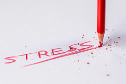 Stressed out: The more you earn, the more you need to de-stress