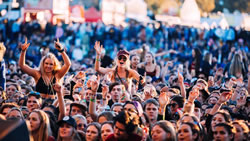 Pill testing on song at music festival