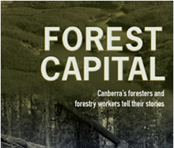 Lost forestry stories come to fruition