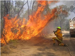 Firefighters’ matched with awards