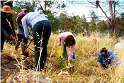 Green grants to preserve bush capital