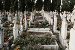 Grave advice: Do you really need funeral insurance?