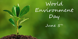 Environment Day gets green light