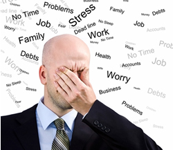 New workplace guide has psychology in mind