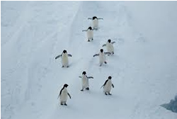 New Antarctic Council hot off the ice