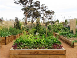 New funding to fertilise garden program