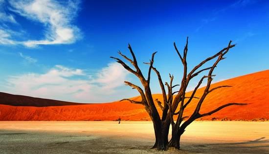 Kangaroo Island, Africa and more…