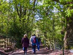 Freshen up: How a dose of fresh air can save us from going stale