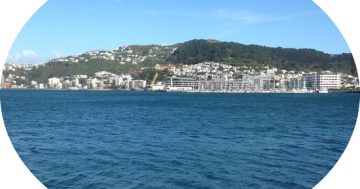 Wellington’s a cool capital – and it’s the ‘best place to live in the world’