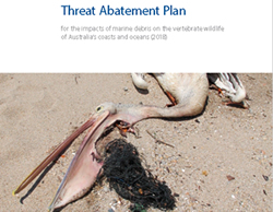 New plan to protect marine wildlife