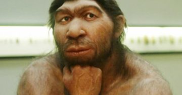 Caving in: Could you be described as a corporate Neanderthal?