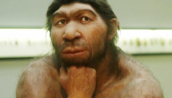 Caving in: Could you be described as a corporate Neanderthal?