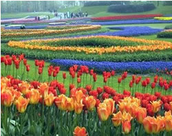 Floriade 2018 to have roots in the past