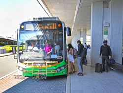 Bus service records runaway record