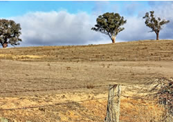 Territory’s farmers get helping hand