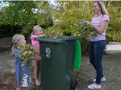 Green bins roll into Belconnen suburbs