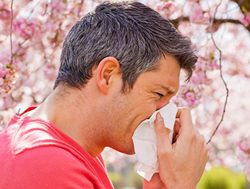 Hay fever season not to be sneezed at