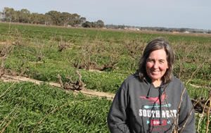 A true believer’s guide to the Barossa