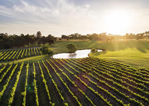 The Swan Valley’s bounty