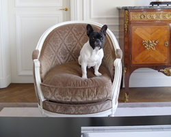 Paris Pub’s Pampered Pooches