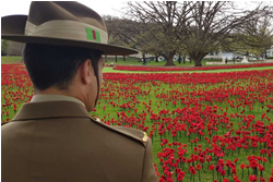 War Memorial sets sights on Remembrance Day