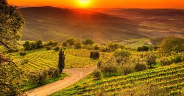 Western Australia, Tuscany and more…