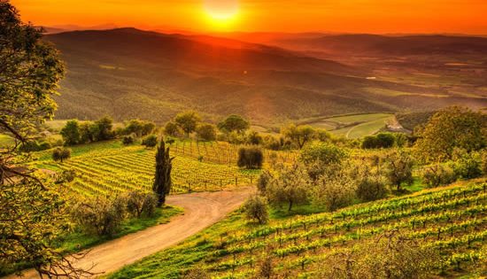 Western Australia, Tuscany and more…