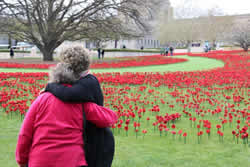 Poppies pop up as a tribute to fallen