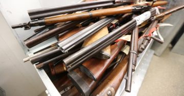 National firearms register in federal budget, three decades after initial agreement