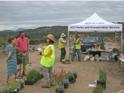 Invasive weed swap takes root