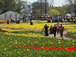 Visitors blossom at Floriade 2018