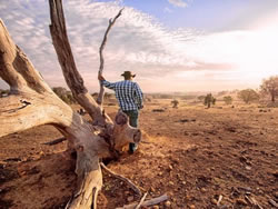 Charity watchdog taps into drought