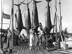 Fisheries history an online catch